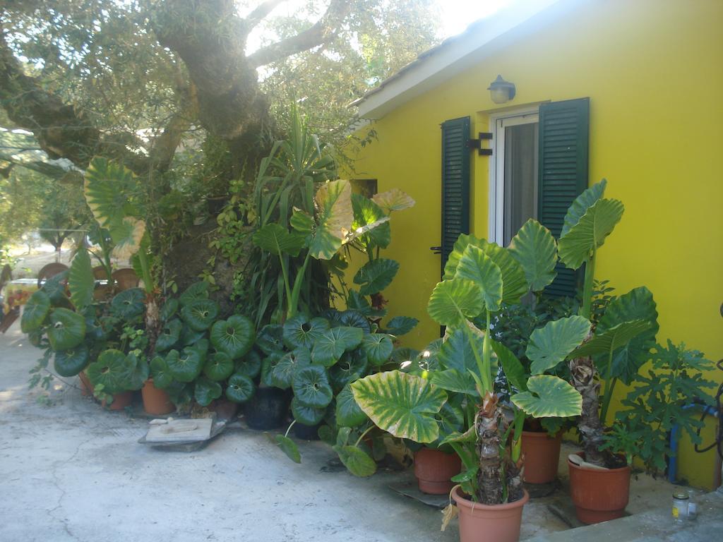 Villa Theodora Keri Bagian luar foto